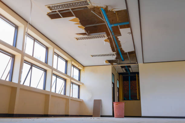  Stuart, IA Water damage restoration Pros