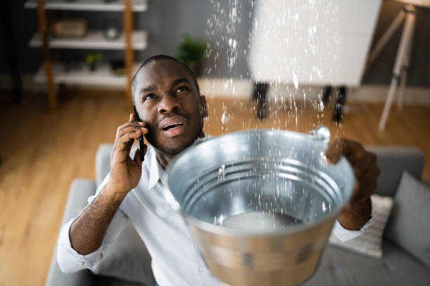 Best Professional water damage repair  in Stuart, IA