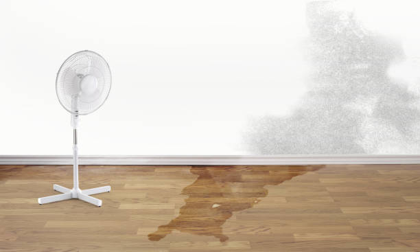  Stuart, IA Water damage restoration Pros