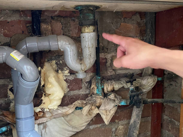 Best Water damage contractors near me  in Stuart, IA