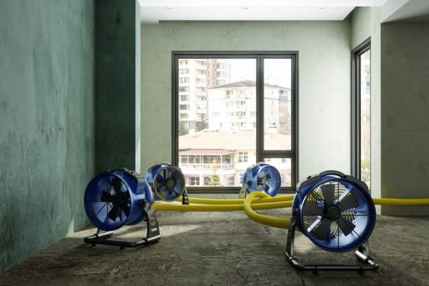 Best Water damage restoration near me  in Stuart, IA