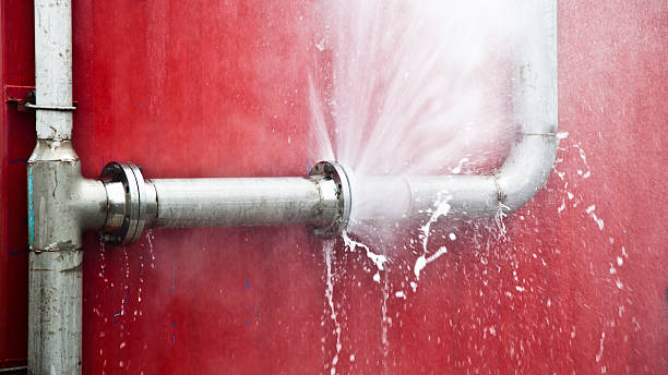Best Local water damage restoration  in Stuart, IA